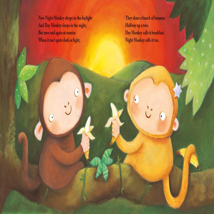 Night Monkey, Day Monkey-Picture Book-Hc-Toycra