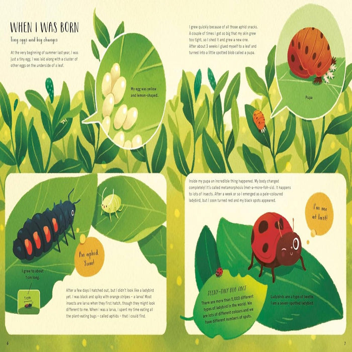 The Secret Life Of Bugs-Encyclopedia-Hc-Toycra