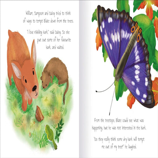 Woodland Tales Blaze The Butterfly-Picture Book-SBC-Toycra