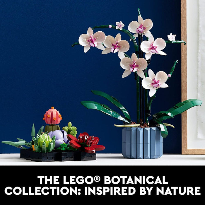 LEGO 10311 Icons Orchid-Construction-LEGO-Toycra