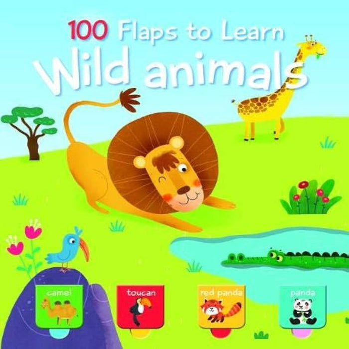 100 Flaps To Learn Books-Board Book-Toycra Books-Toycra