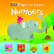 100 Flaps To Learn Books