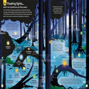 100 Things To Know About The Unknown