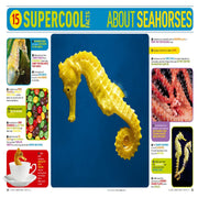 5000 Awesome Facts (About Everything!)