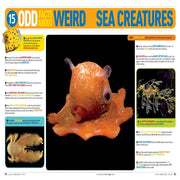 5000 Awesome Facts (About Everything!)