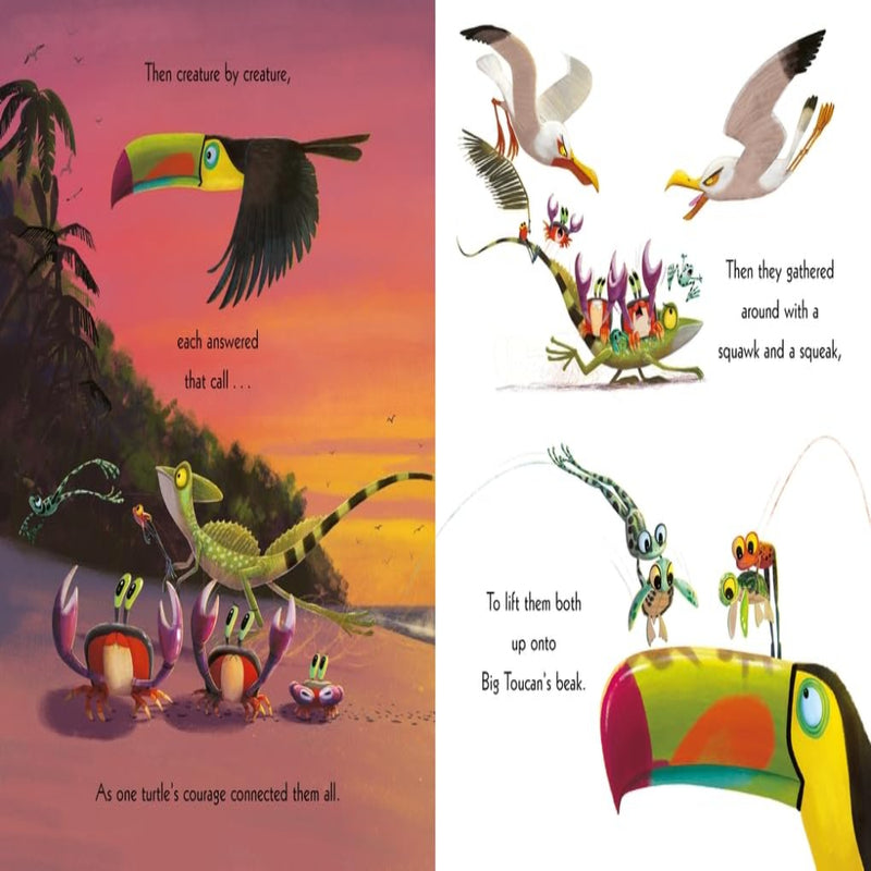 The Turtle Who Turned The Tide Picture Book By Rachel Bright