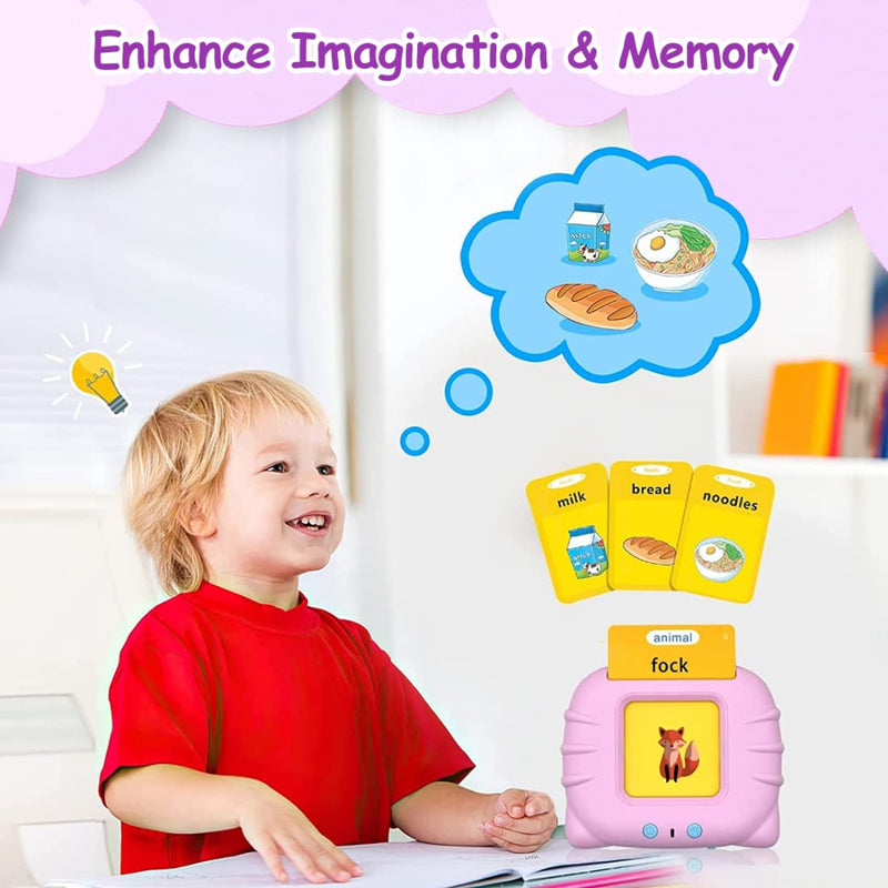 Wembley Talking Flash Cards