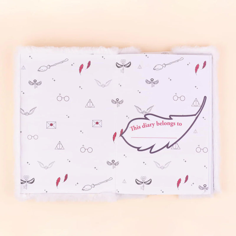 Mirada Harry Potter Magical Notebook
