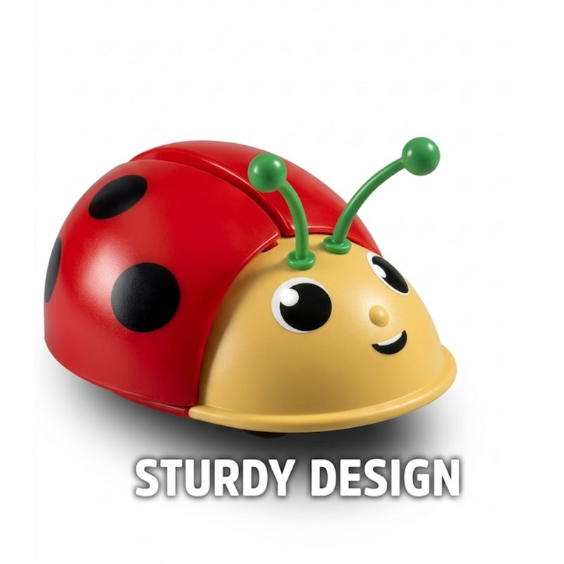 Funskool 2-in-1 Pull Along Ladybug Toy