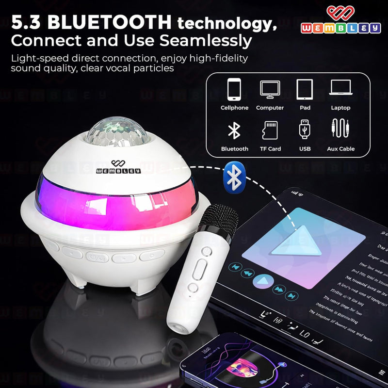 Wembley Karaoke Bluetooth Speaker