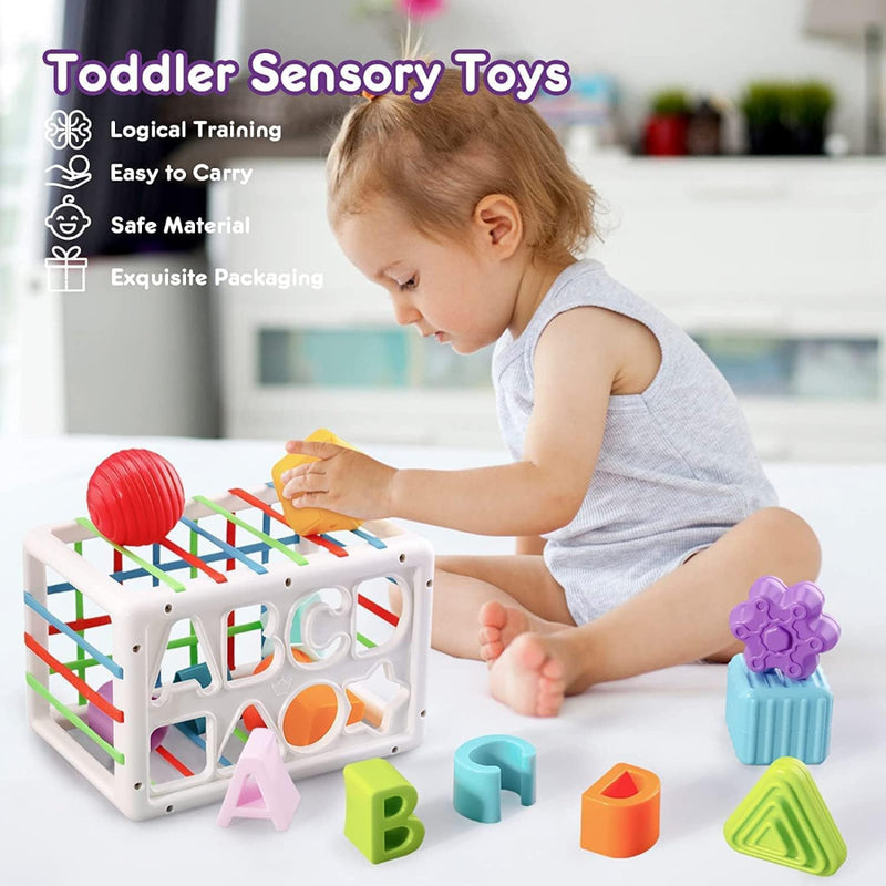 Little Fingers Shape Sorting Baby Toy
