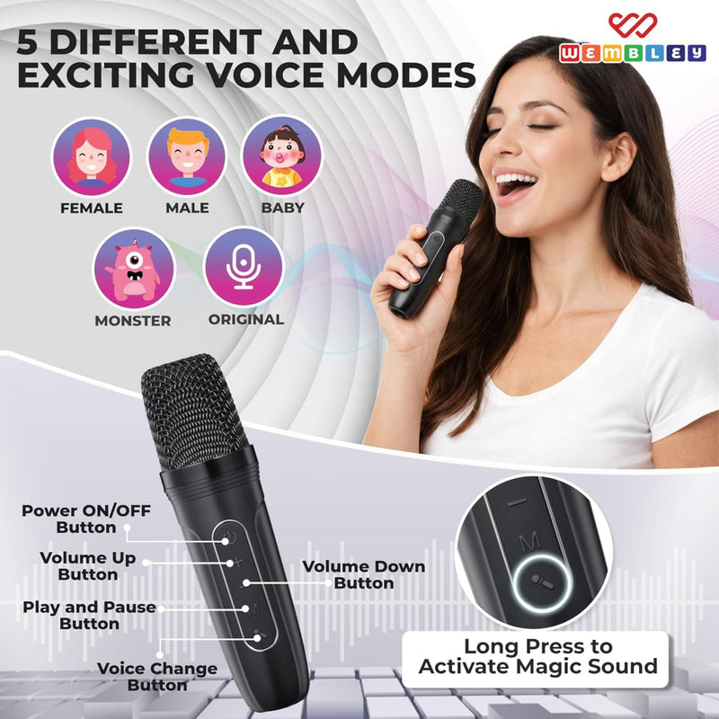 Wembley Karaoke Speaker with Wireless Mic