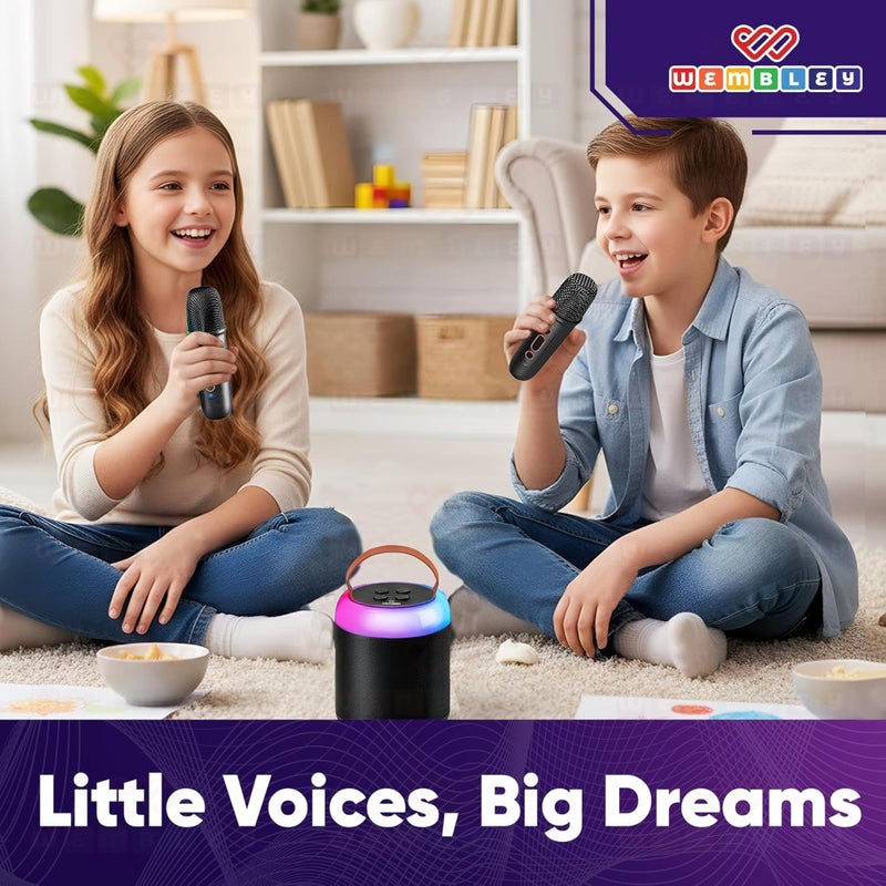 Wembley Bluetooth Karaoke Speaker Set