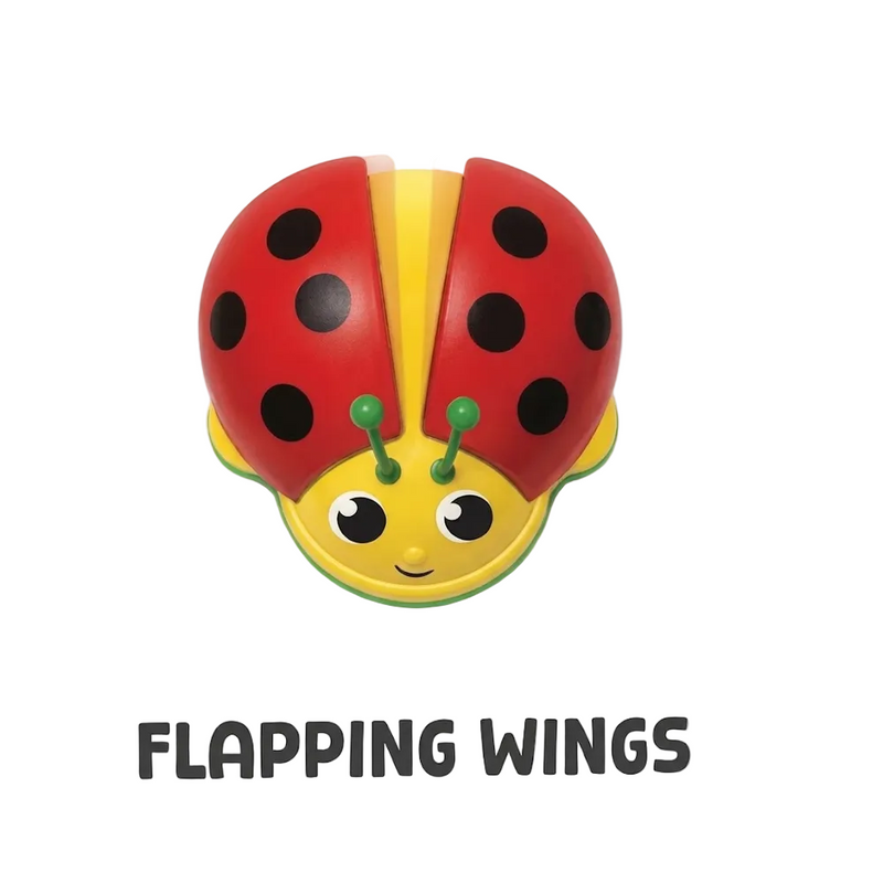 Funskool 2-in-1 Pull Along Ladybug Toy