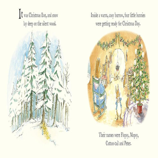 A Christmas Wish