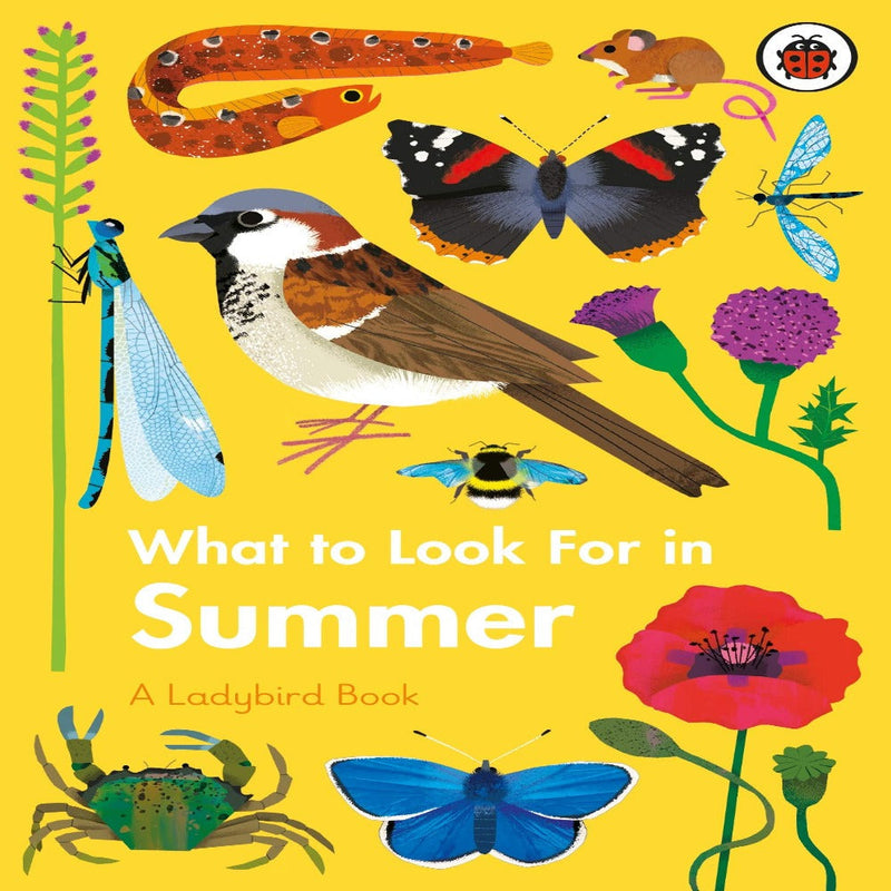 A Ladybird Books - Age 6 Years+