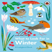 A Ladybird Books - Age 6 Years+