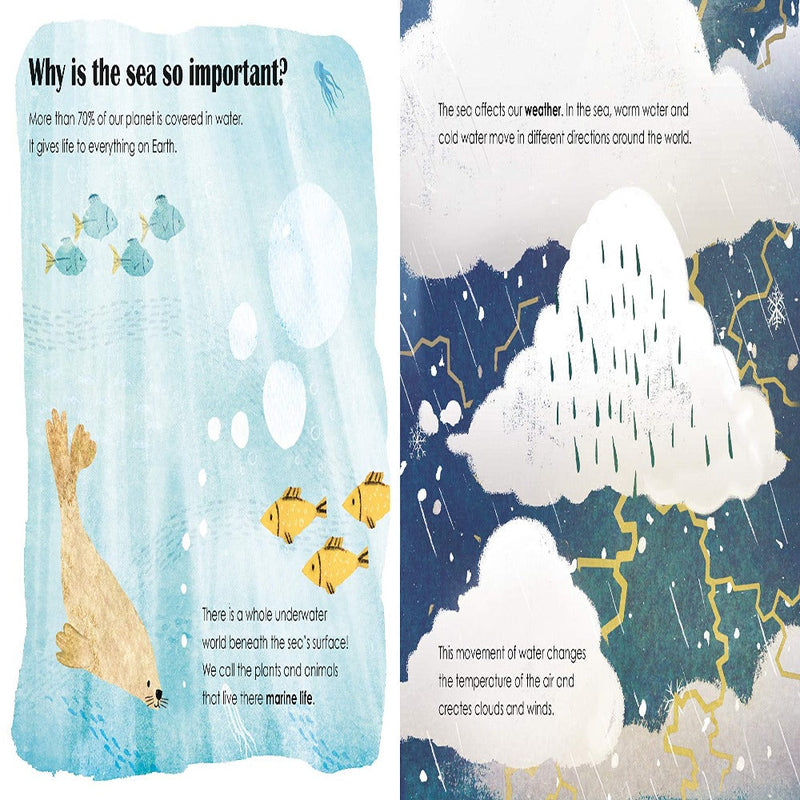 A Lift-The-Flap Eco Book