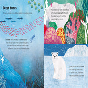 A Lift-The-Flap Eco Book