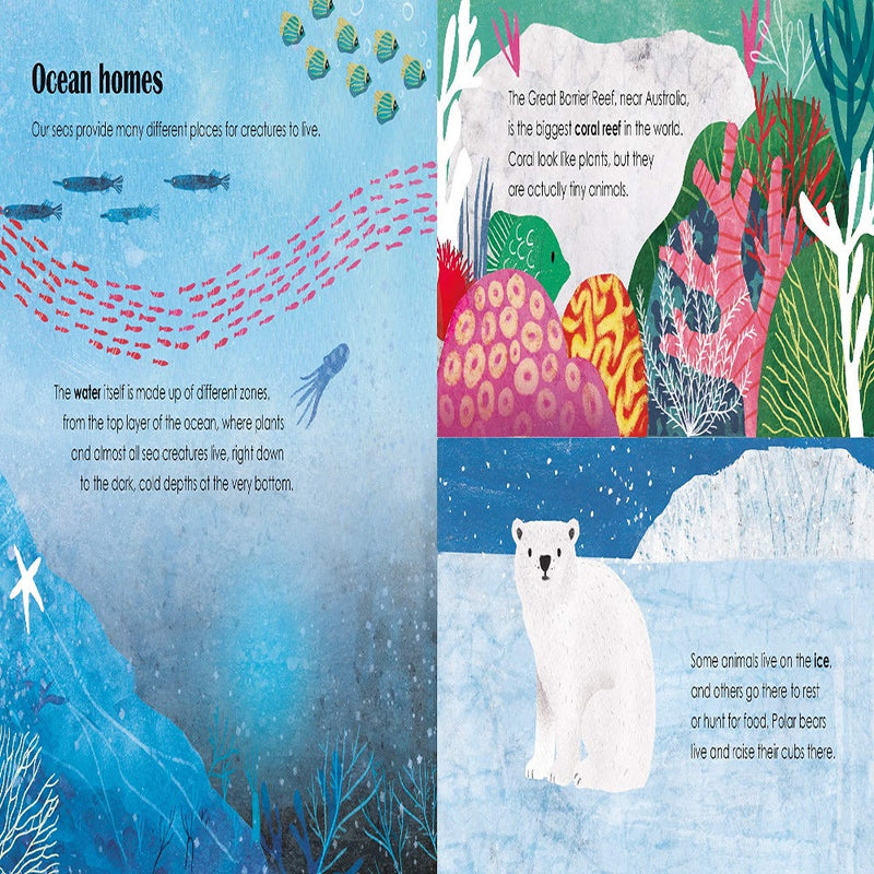 A Lift-The-Flap Eco Book