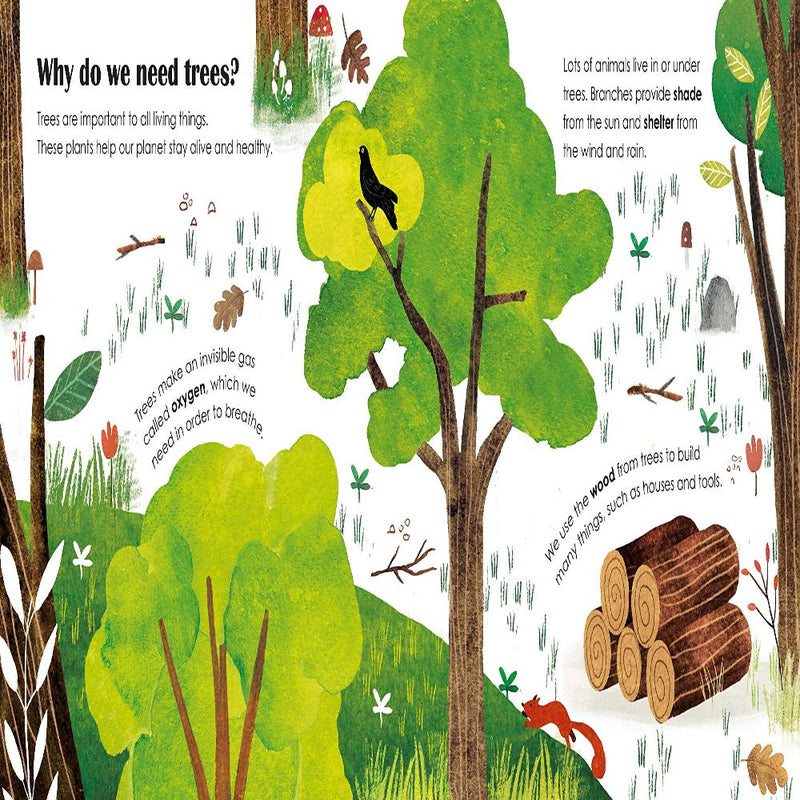 A Lift-The-Flap Eco Book