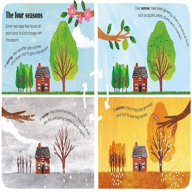 A Lift-The-Flap Eco Book
