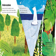 A Lift-The-Flap Eco Book