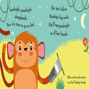 A Magic Torch Book