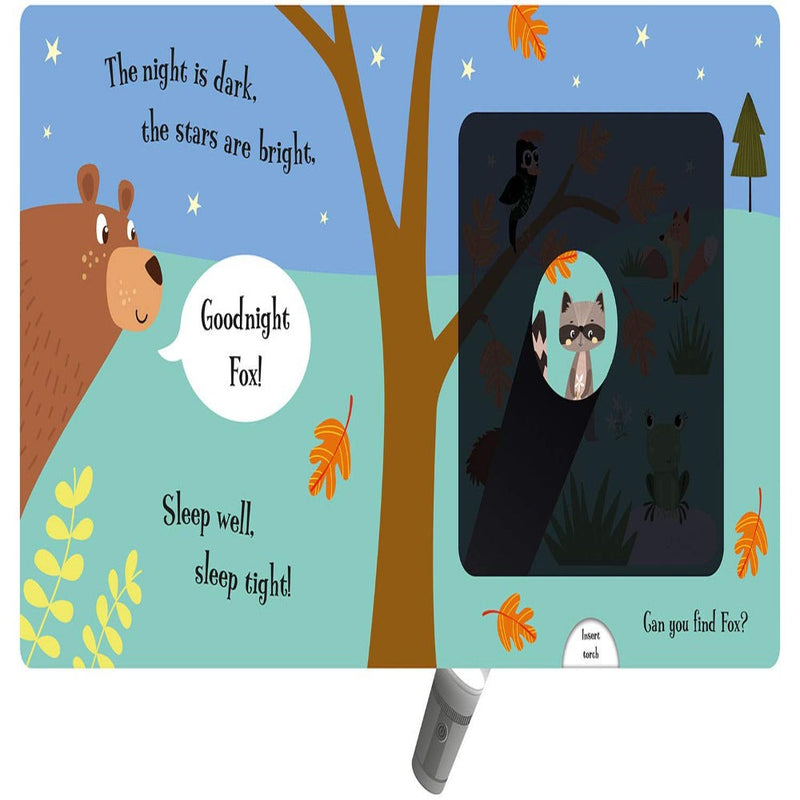 A Magic Torch Book