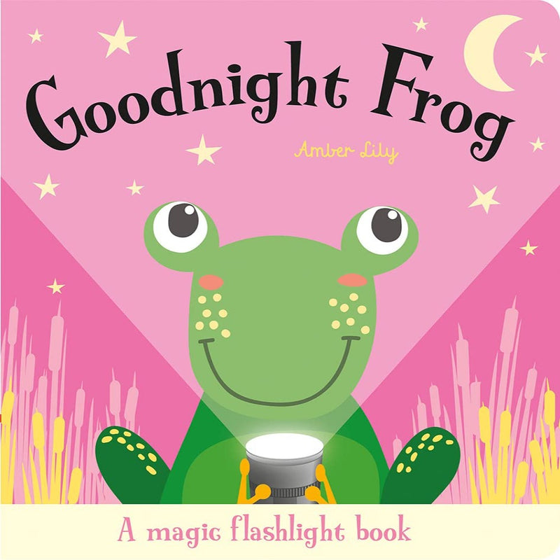 A Magic Torch Book