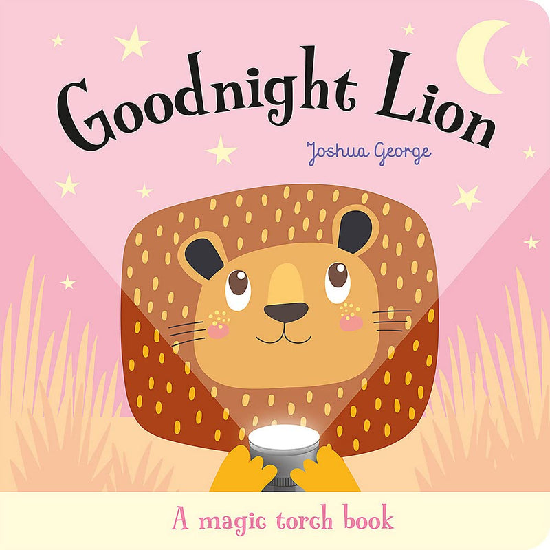 A Magic Torch Book