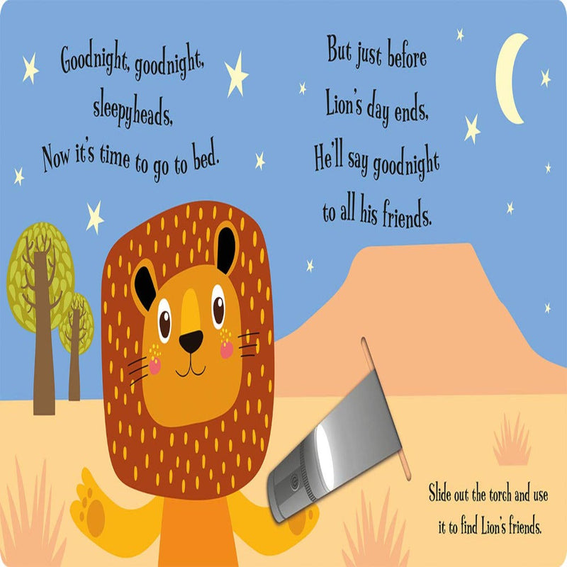 A Magic Torch Book