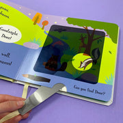 A Magic Torch Book
