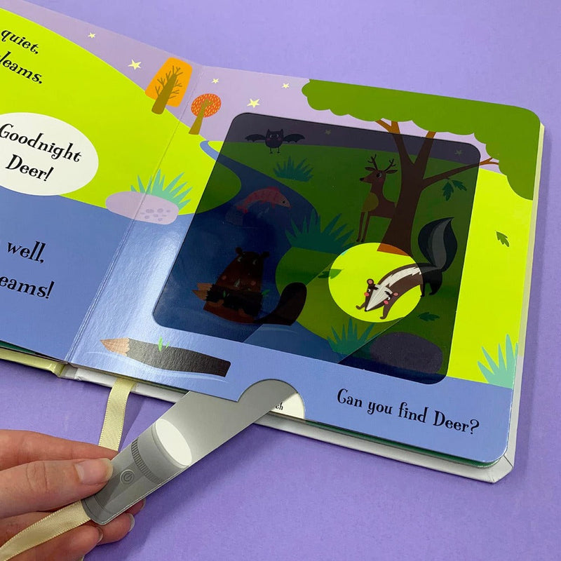 A Magic Torch Book