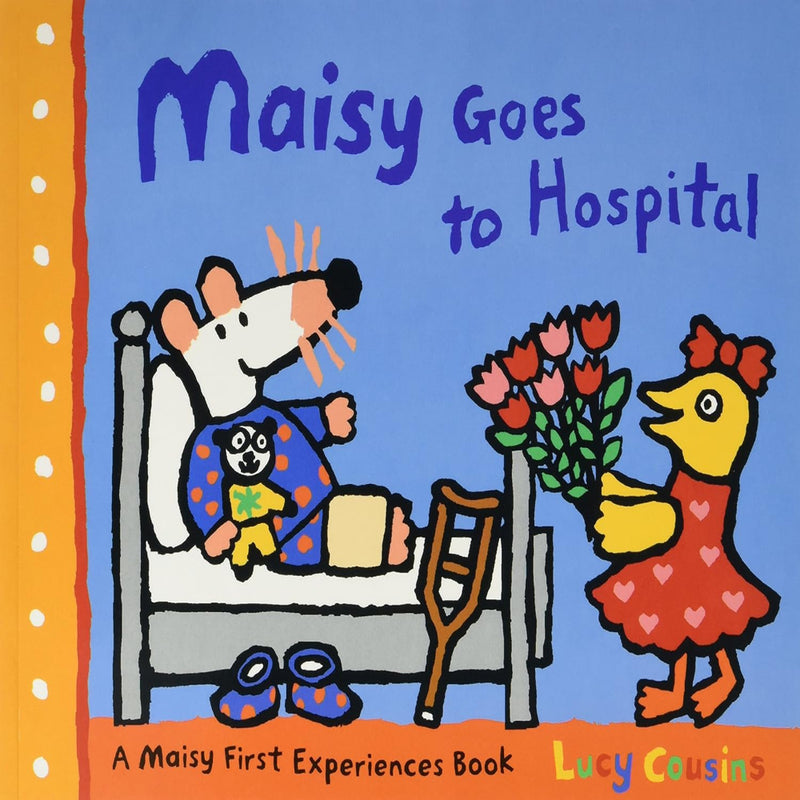 A Maisy First Experience Book