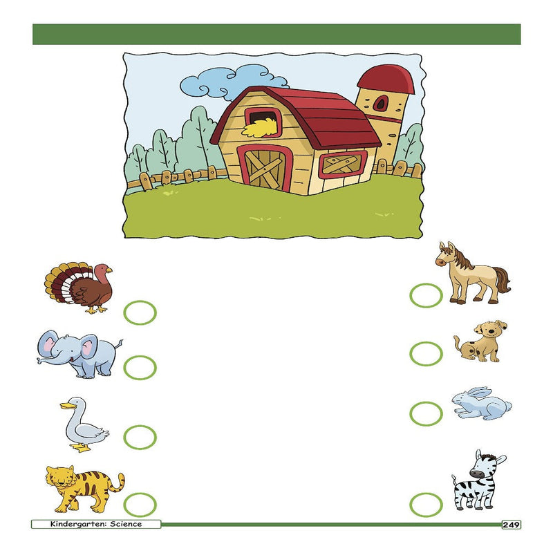 Activity Book : Jumbo Smart Scholars Kindergarten Workbook