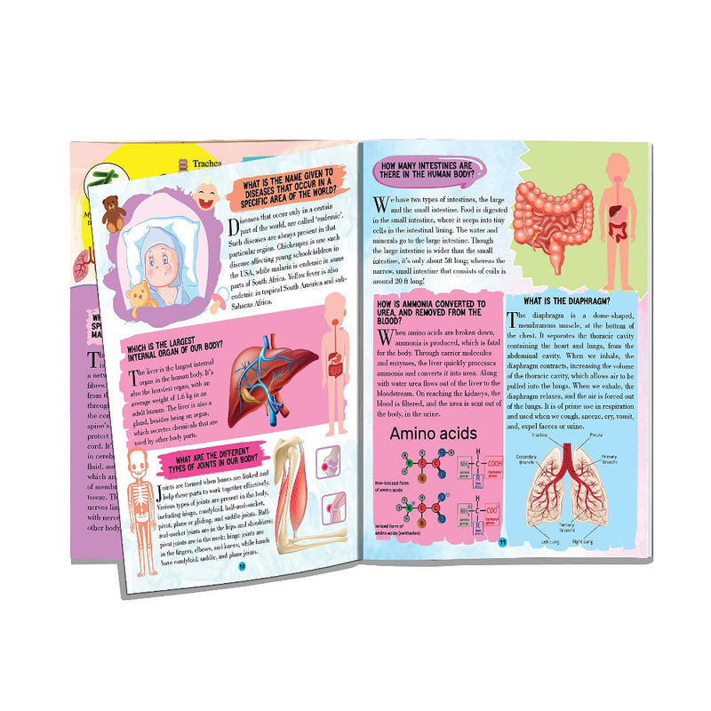All About Trivia Questions And Answers