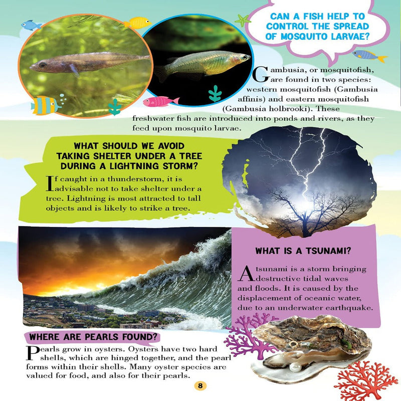 All About Trivia Questions And Answers