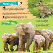 All About Trivia Questions And Answers