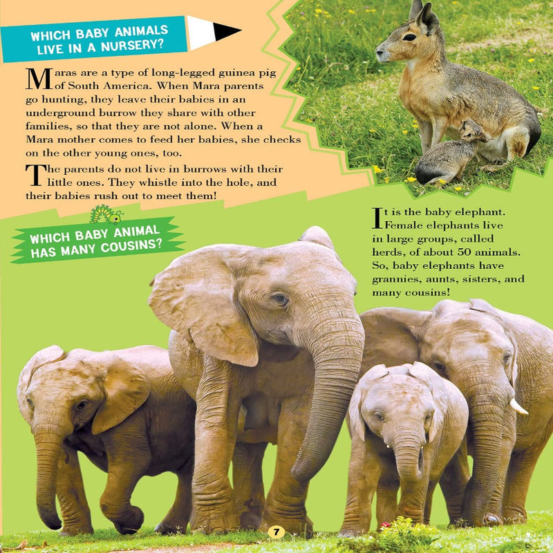 All About Trivia Questions And Answers