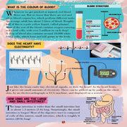 All About Trivia Questions And Answers