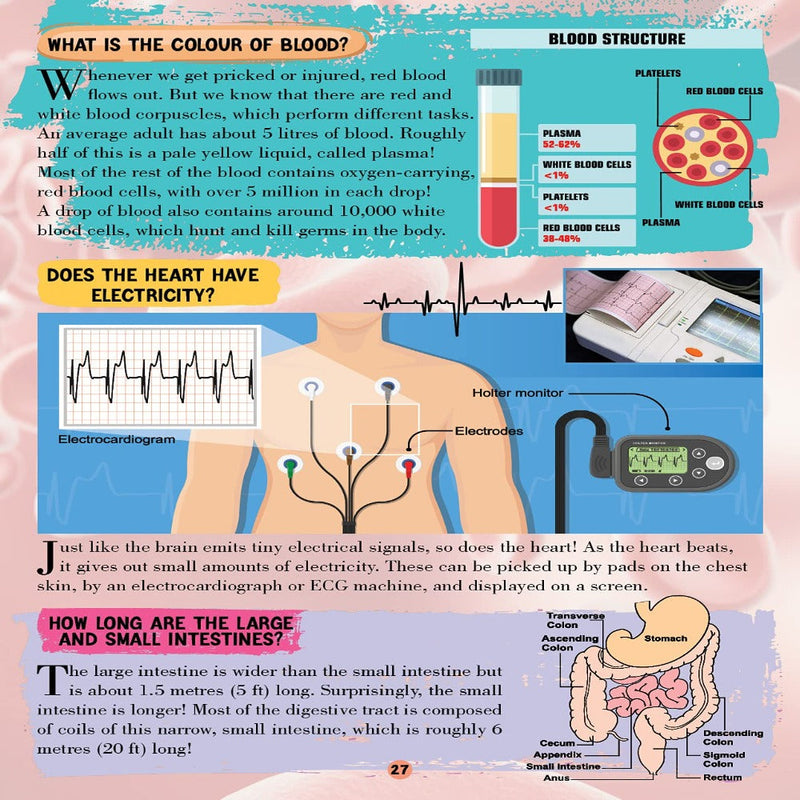 All About Trivia Questions And Answers