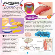 All About Trivia Questions And Answers