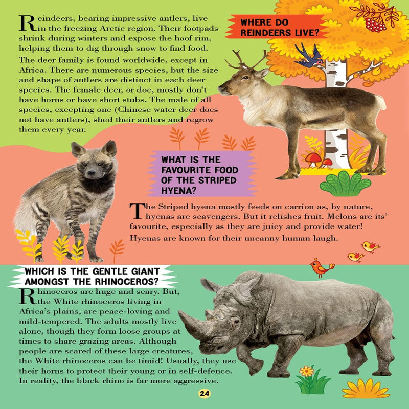 All About Trivia Questions And Answers