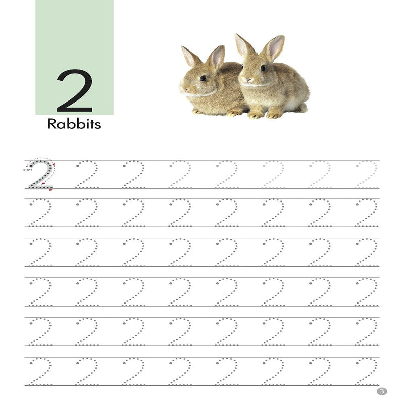 All In One Activity Book