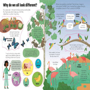 An Usborne Flap Book See Inside Genes And Dna