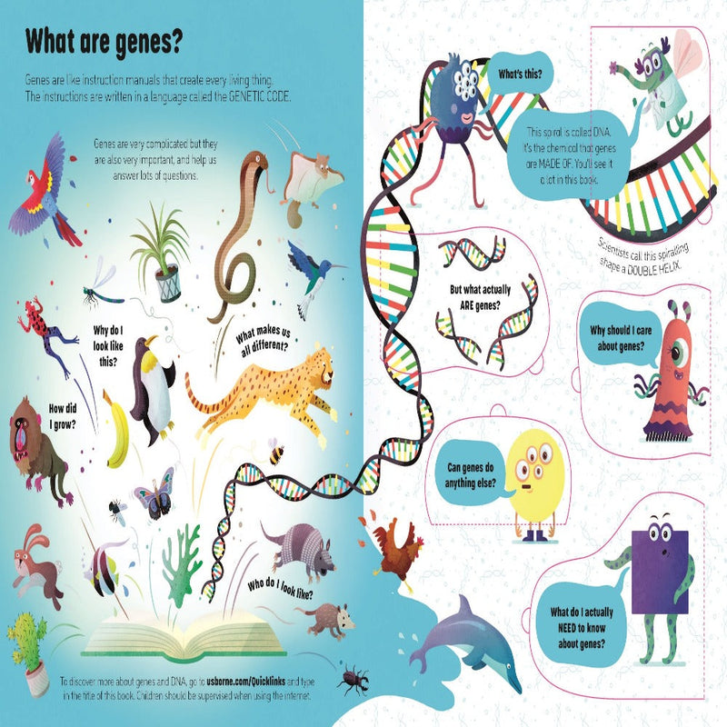 An Usborne Flap Book See Inside Genes And Dna