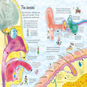 An Usborne Flap Book See Inside Your Body