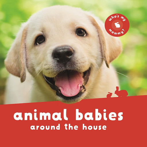 Animal Babies Board Book