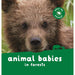 Animal Babies Board Book-Board Book-Pan-Toycra